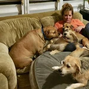 Meet your Posher, Christie